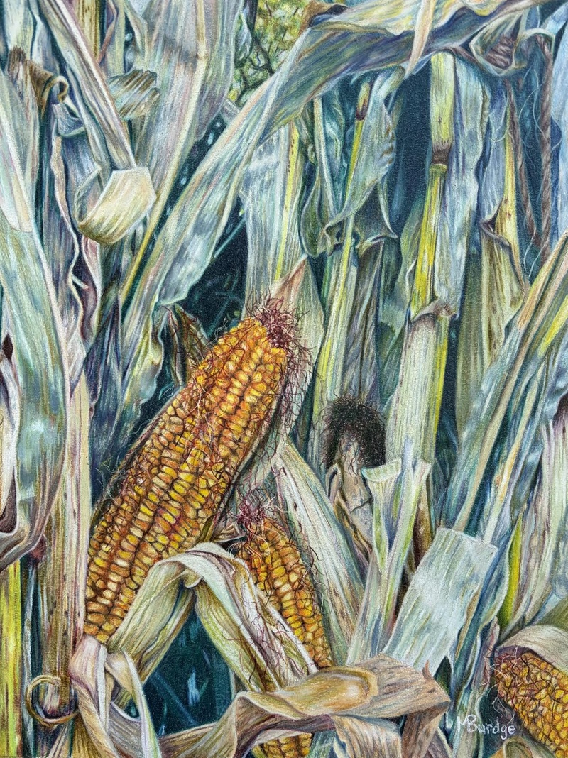 Kentucky Kernels by Michael Burdge